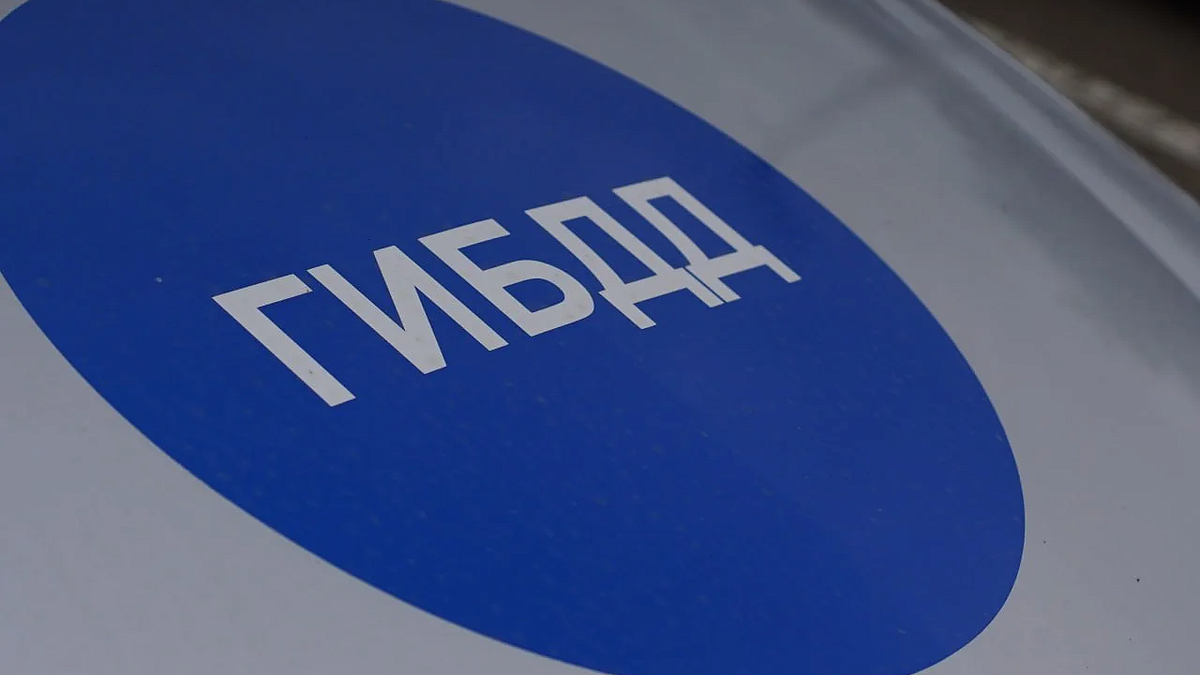    Фото: телеканал «Краснодар»