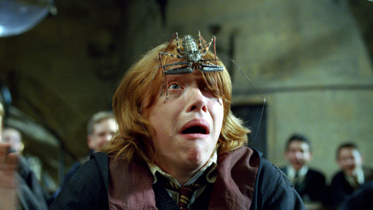 «Гарри Поттер и Кубок огня», реж. Майк Ньюэлл, Warner Bros., 2005