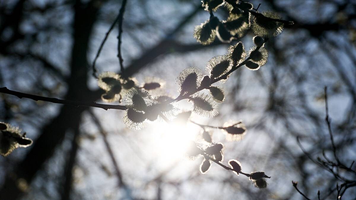    Фото: Ярослав Чингаев / АГН Москва