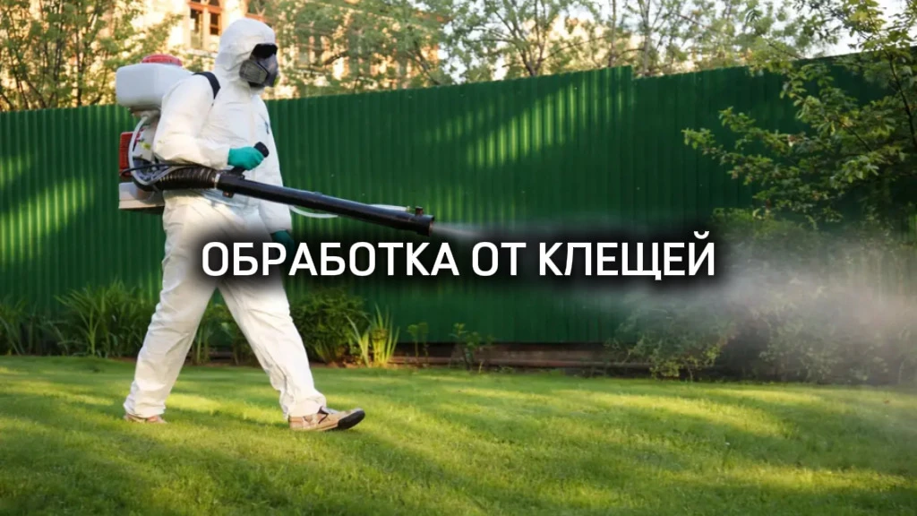 Защита участка от клещей