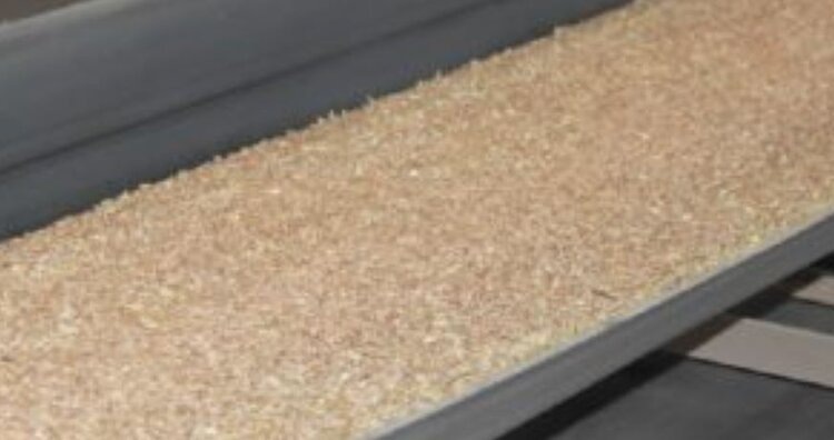    Фото: Россельхознадзор РФ