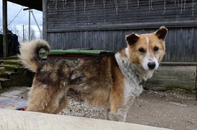   Фото: Елизавета Мазурина