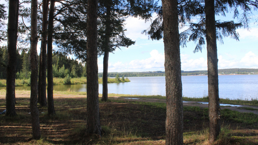    Фото: progorod43.ru