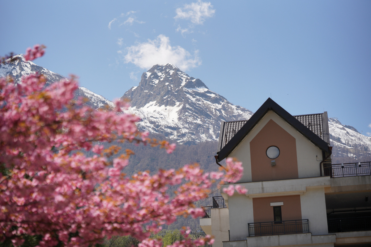 Локация: остановка общественного транспорта