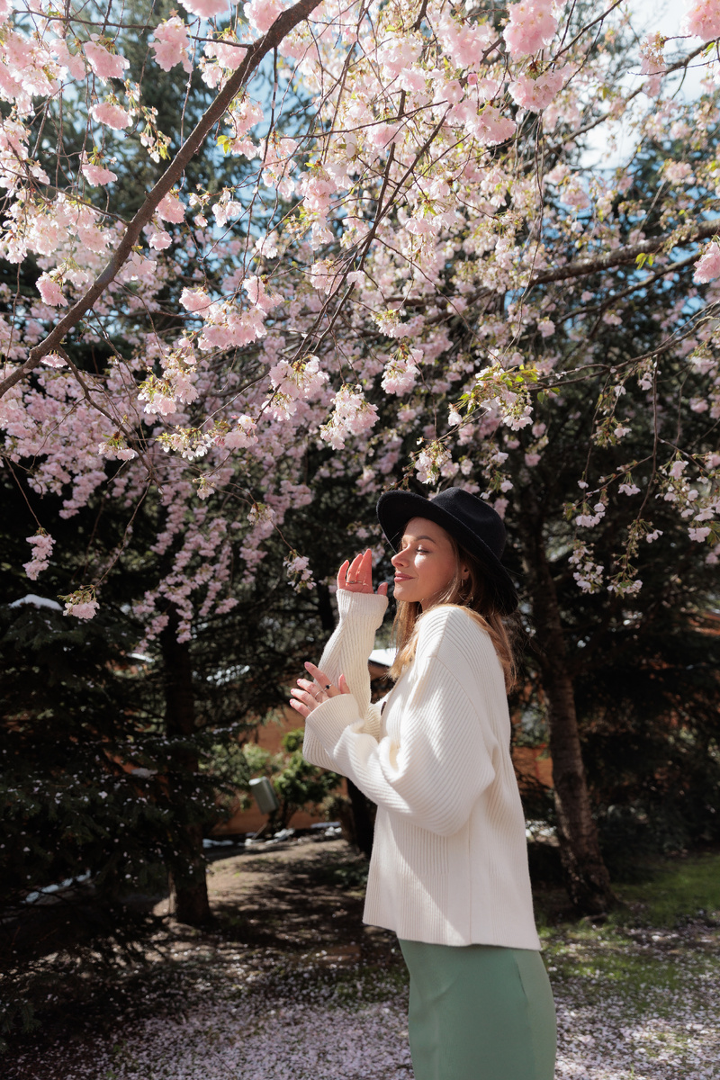 Вишня Саржента