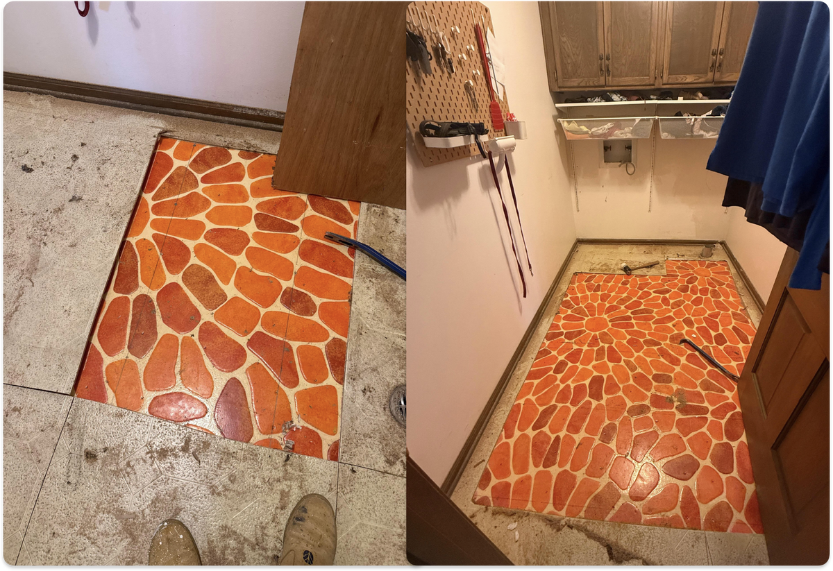 Источник: MichaelScottsMom / https://bit.ly/4tzNGrh 