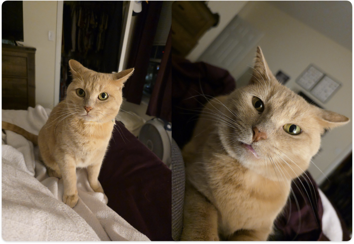 Источник: unfinished-sentenc_ / https://bit.ly/3OcWx3l 