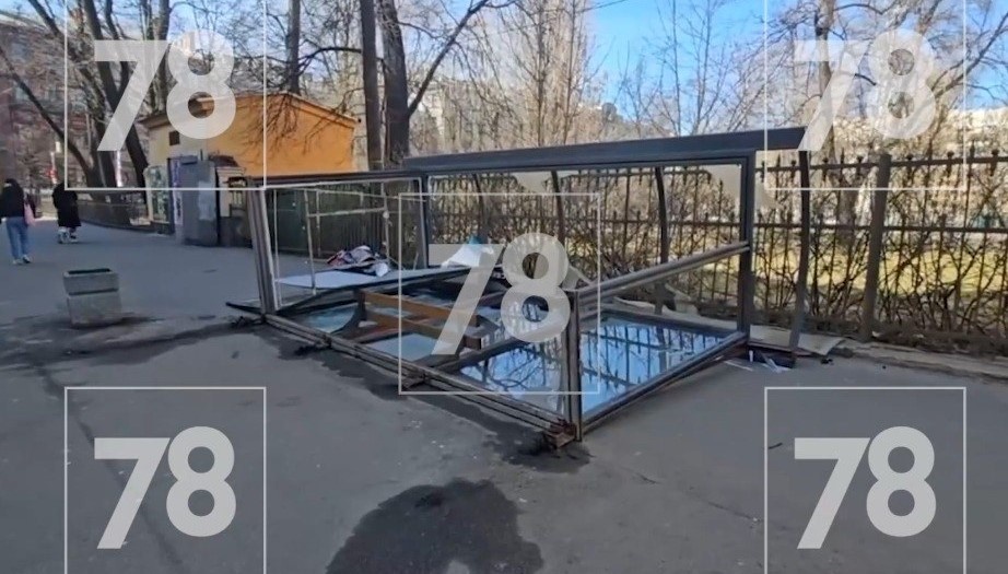    Автор фото: 78.ru