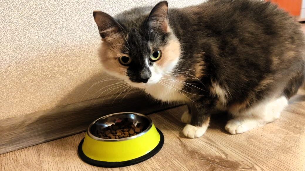 А что, другого ничего не было?!