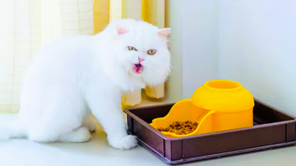 Опять, двадцать пять! Хочу что-нибудь новенькое! 