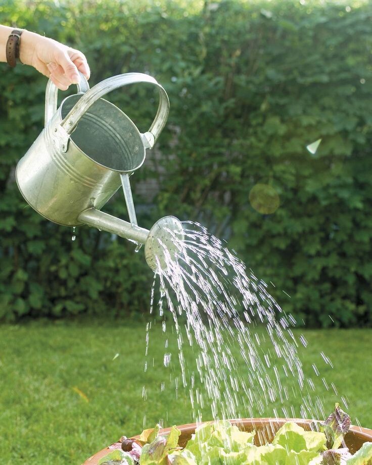 Кардио с лейкой. Полив цветов с энтузиазмом.