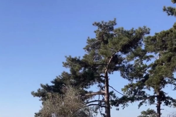 bledans/Instagram    📷