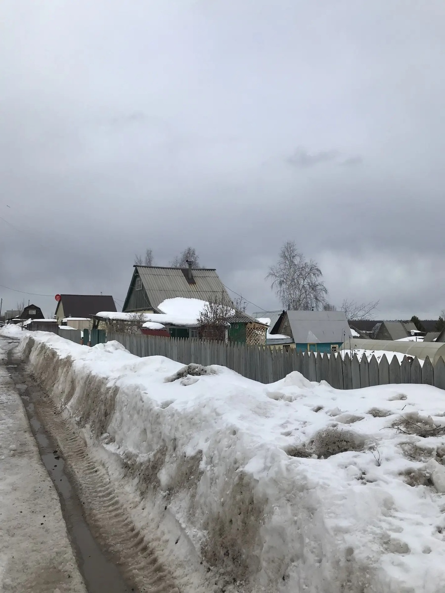 Фото автора статьи на 3.04.2026 года сев. регион Ирк. обл. Наши дачи..