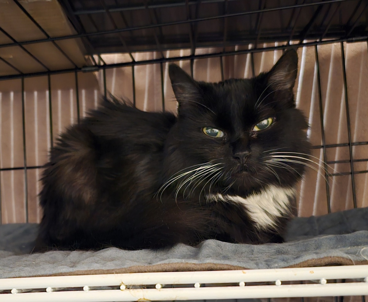 Фото автора. Таша оооооочень хочет жить.