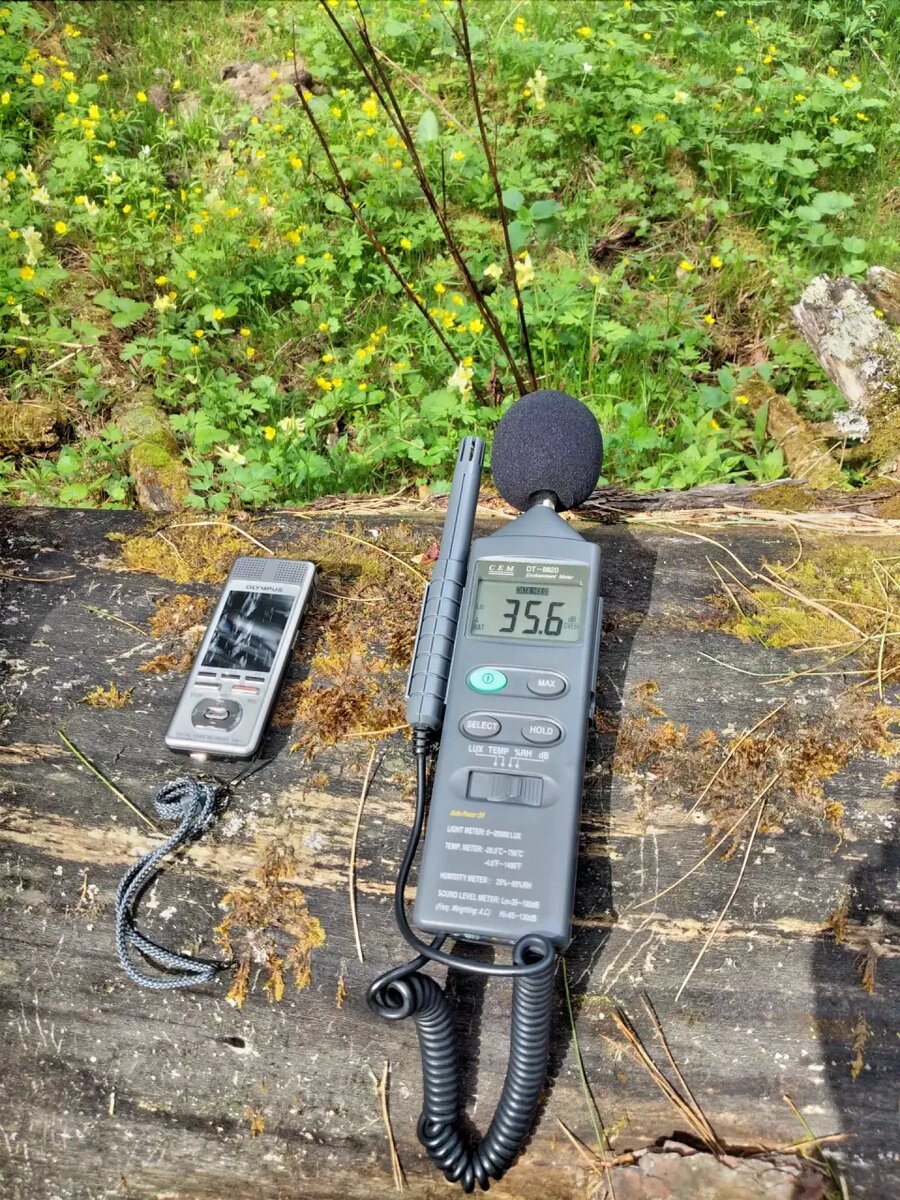    В Алтайском заповеднике записали пение птиц. Источник: Пресс-служба Алтайского заповедника