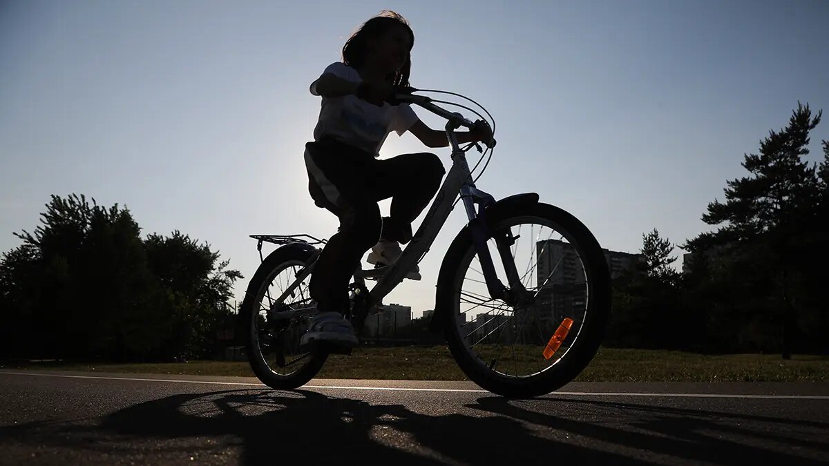    Источник: vm.ru/ Полина Котова