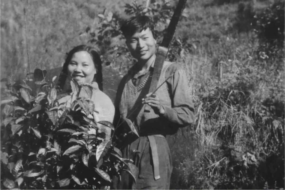 фотография 1954 года, супруги Сяо Шиин (справа) и Чжан Мулань, окончившие Уханьский университет, на фоне дикого чайного дерева в Юньнани (предоставлено Сяо Шиином)