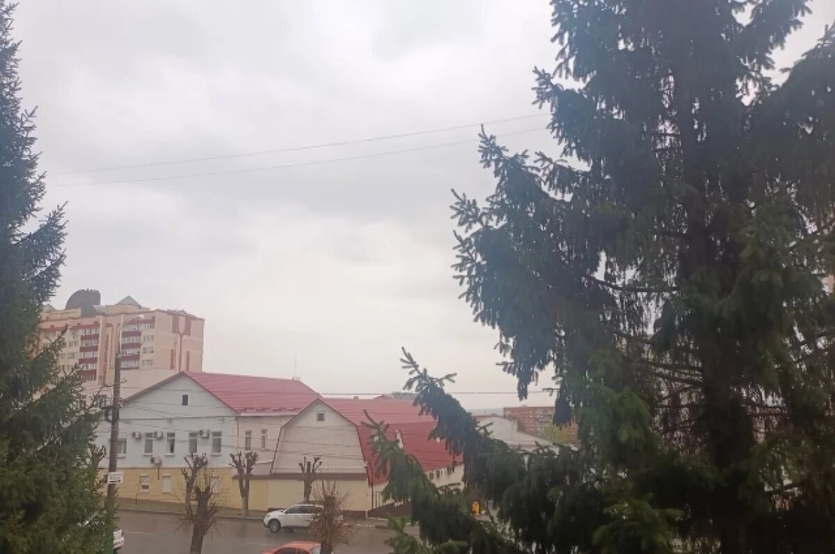    Артемова: впервые за 150 лет апрель в Пензе выдался влажным