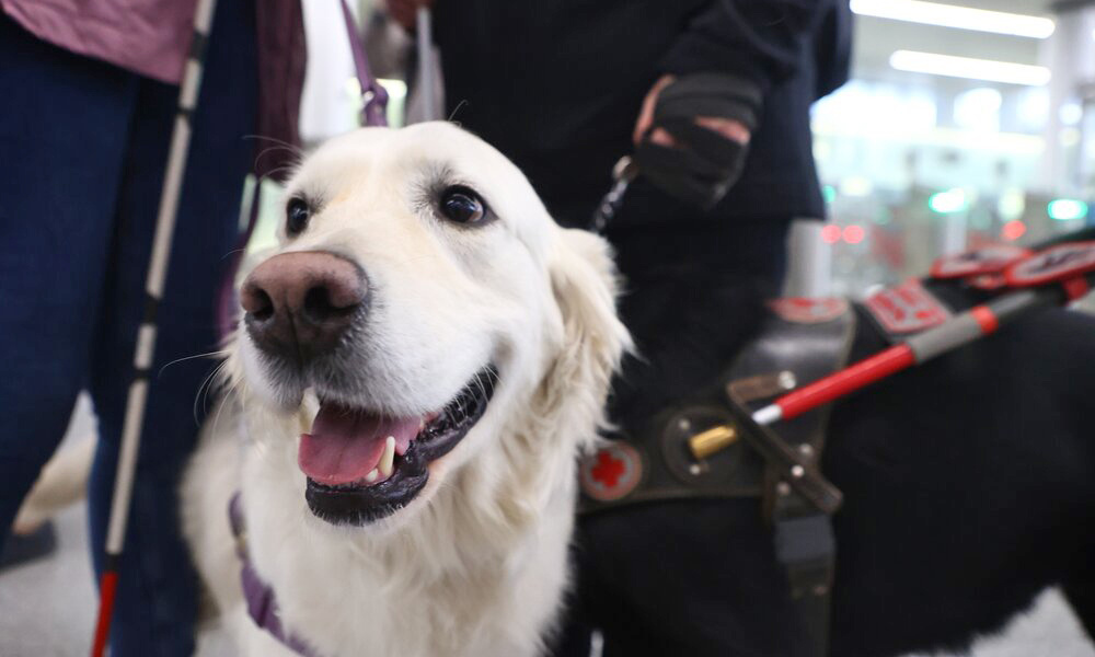    ©Агентство городских новостей "Москва"