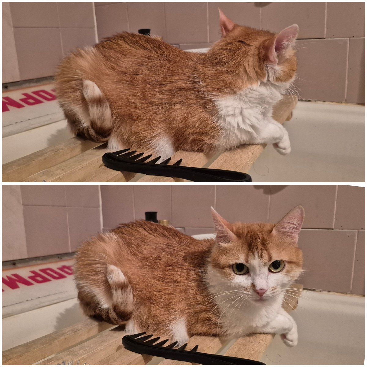 достала меня снимать уже, что тебе надо?