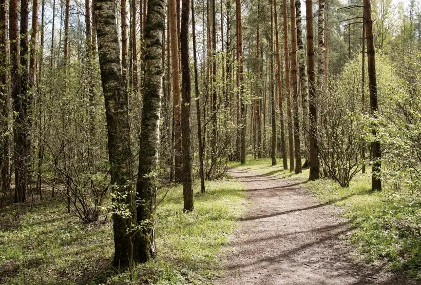     © РИА Новости. Алексей Даничев