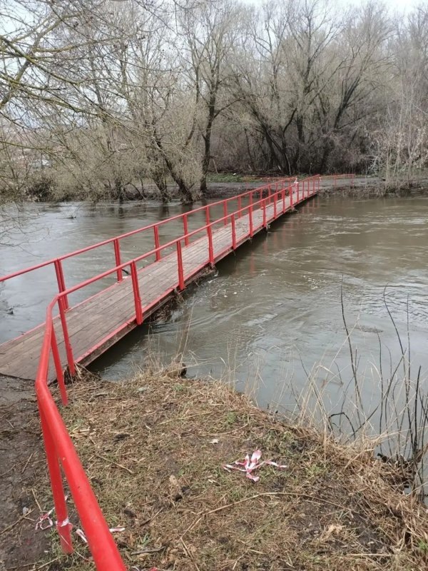    © фото - тг-канал Курска