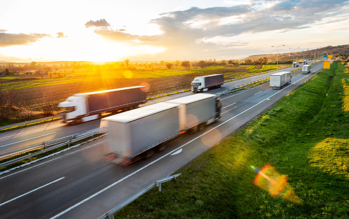 Автор фото: AlinStock/ Shutterstock/ FOTODOM.