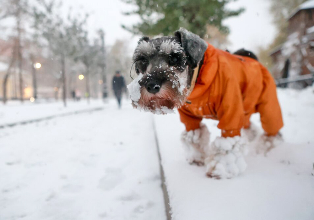   ©Агентство городских новостей "Москва"