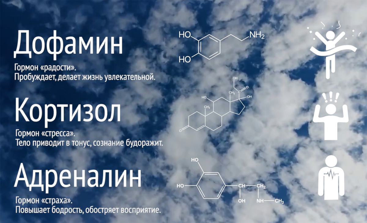 Немного инфо о том кто за кого