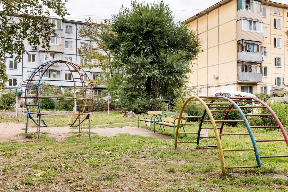 Источник: Denis Kabelev / Shutterstock / FOTODOM