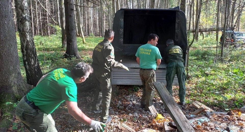    Комитет лесного хозяйства Московской области