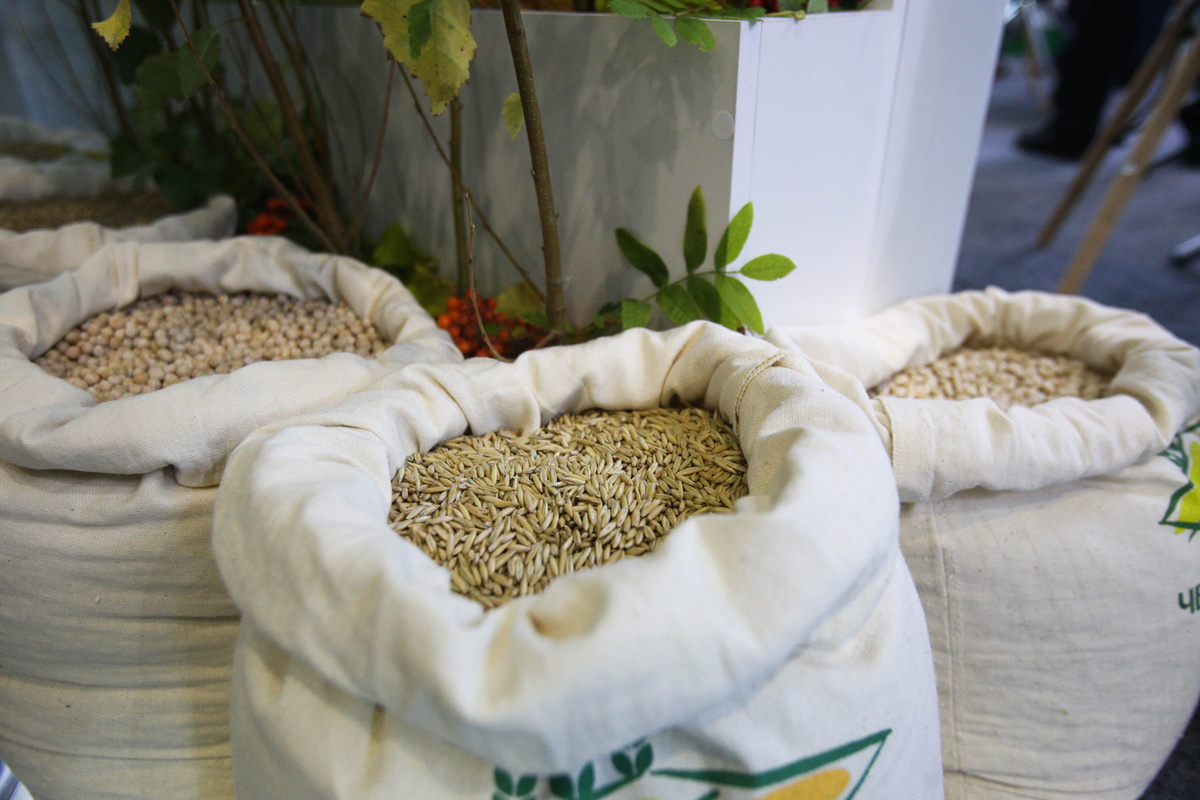 Экспорт башкирских семян в ЕС и ЕАЭС вырос вдвое.  Фото: Фото: ФедералПресс / Ольга Юшкова