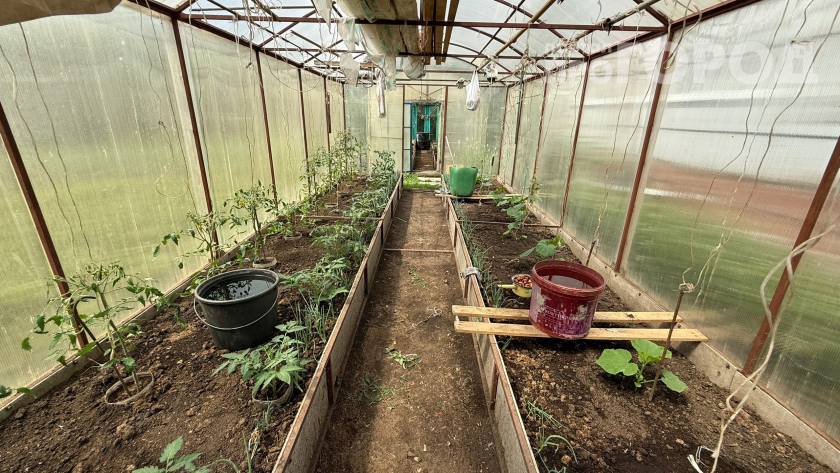    Фото: ПроГород