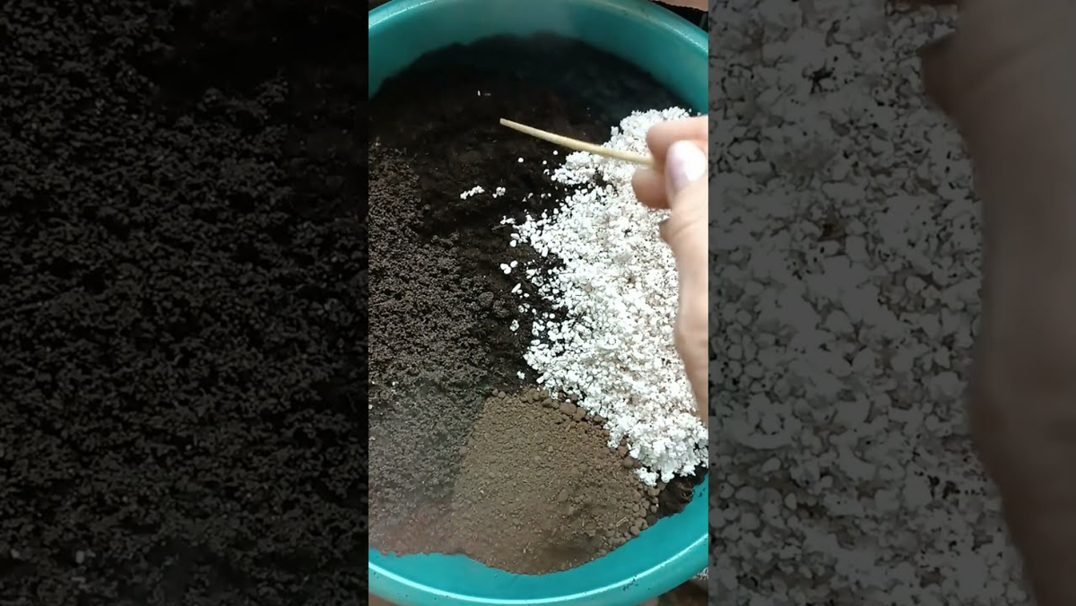 Грунт для рассады