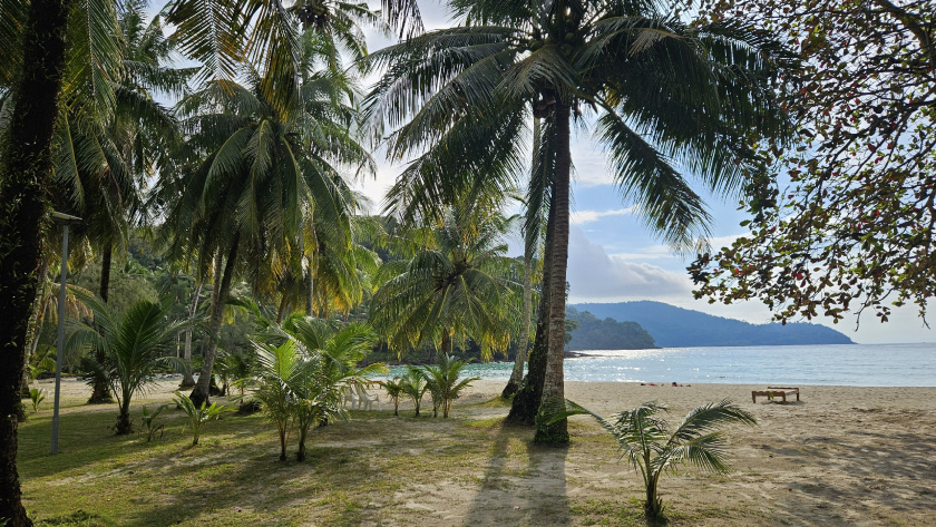    Автор фото - Анна Ефимова