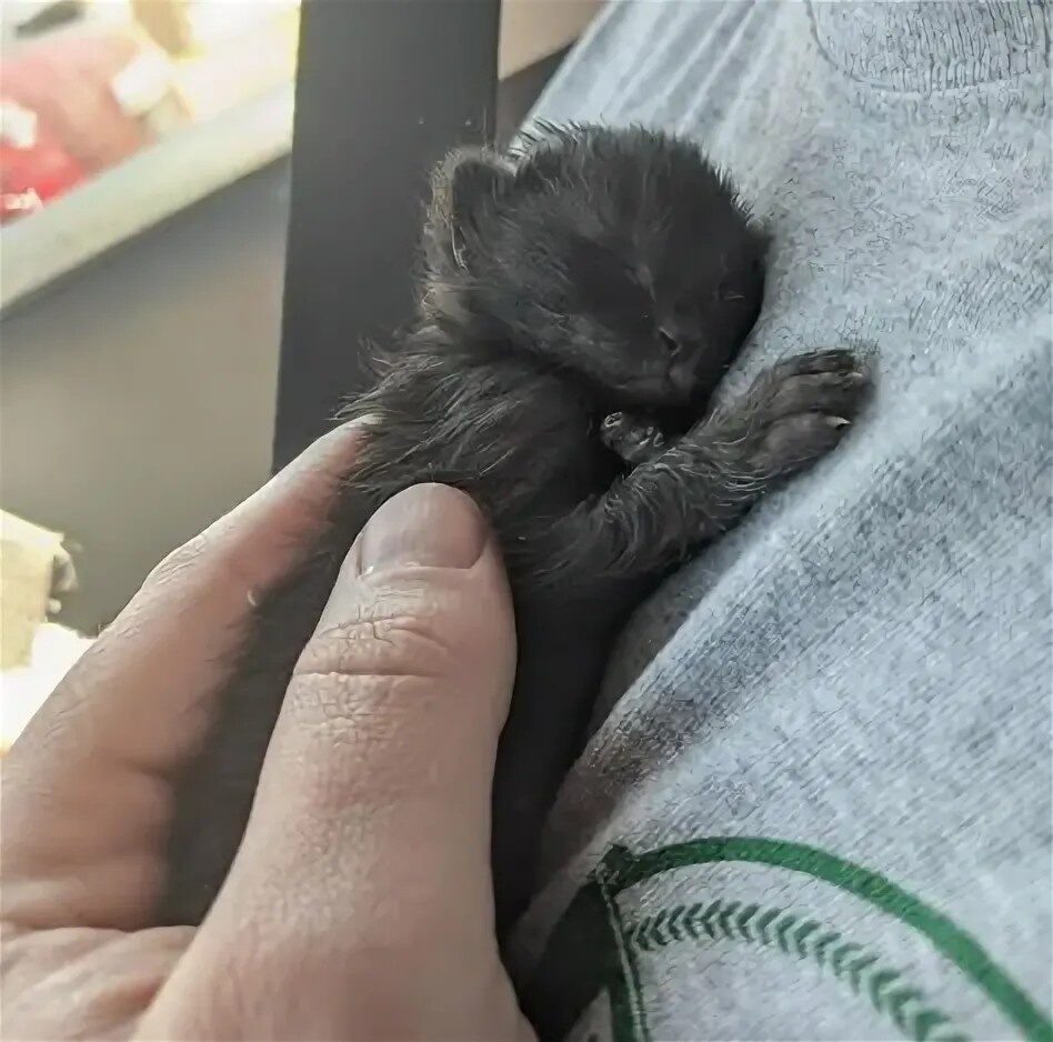 Фото из Яндекса