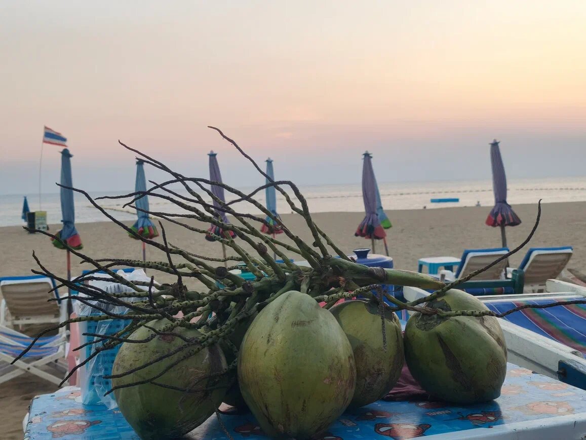 Фото автора. Кокосы на пляже