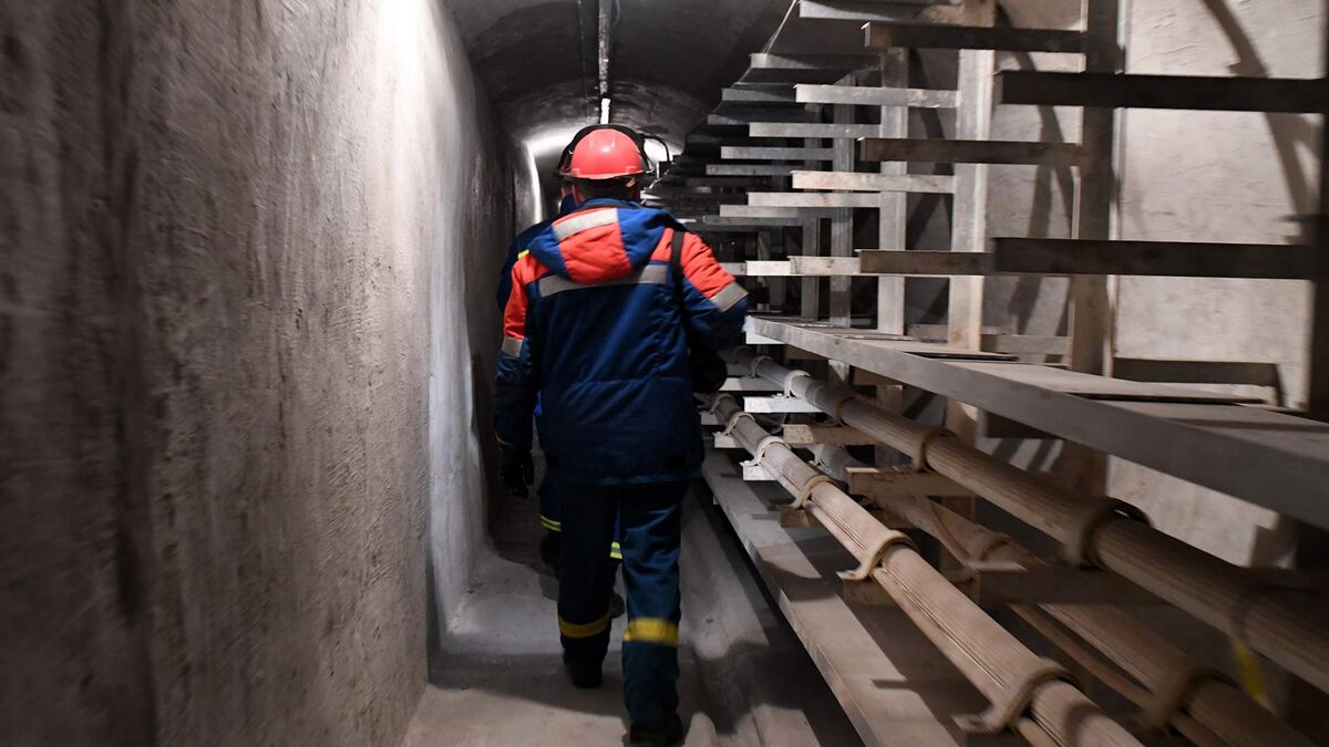 Фото: РИА Новости/Евгений Биятов