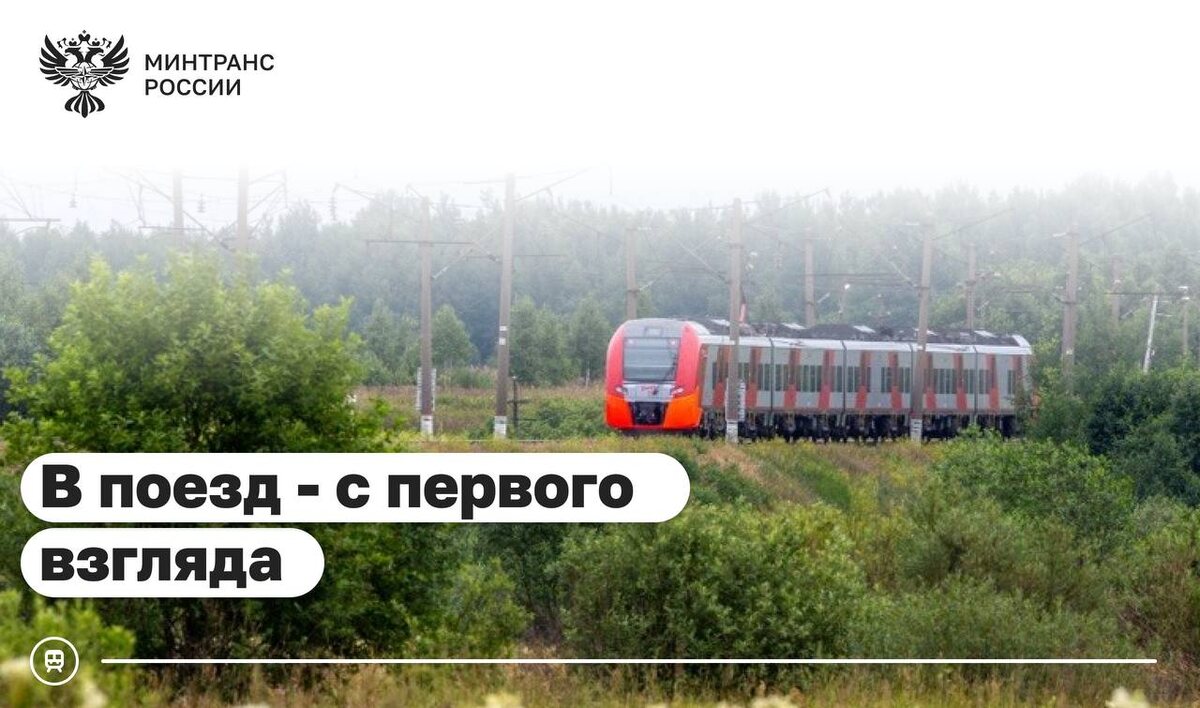    Фото: t.me/Mintrans_Russia