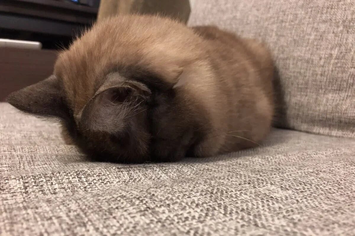 Фото: UfacityNews.ru