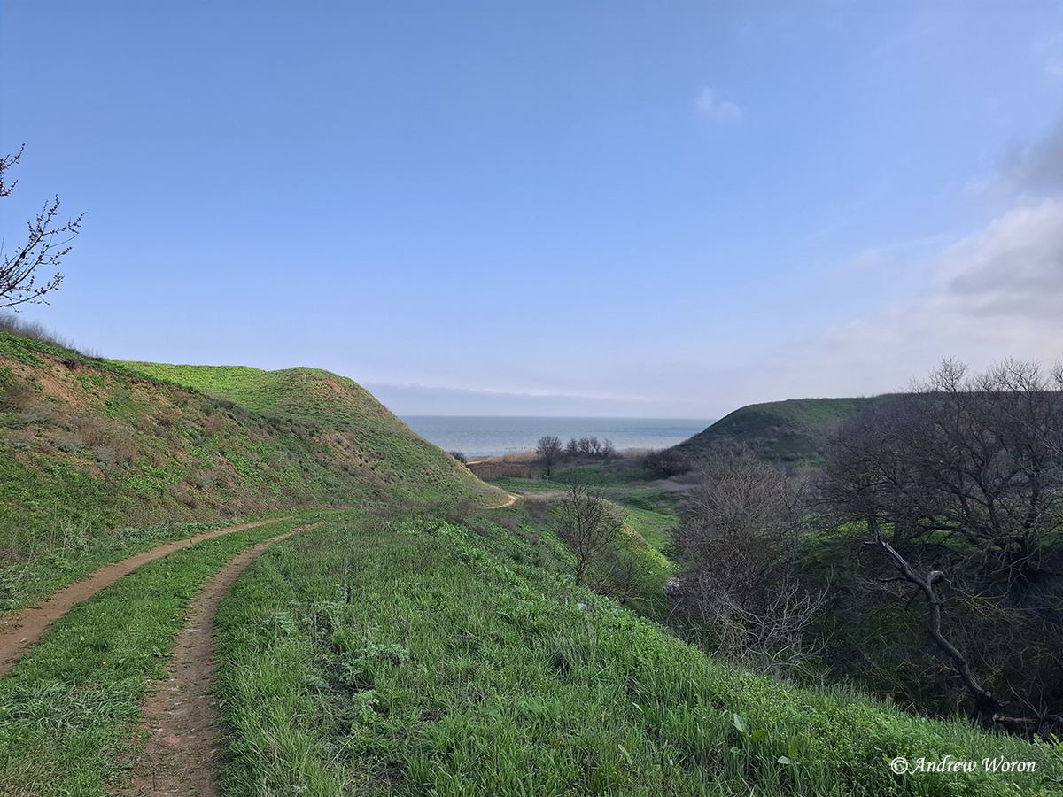 Спуск к морю в Стефанидаре
