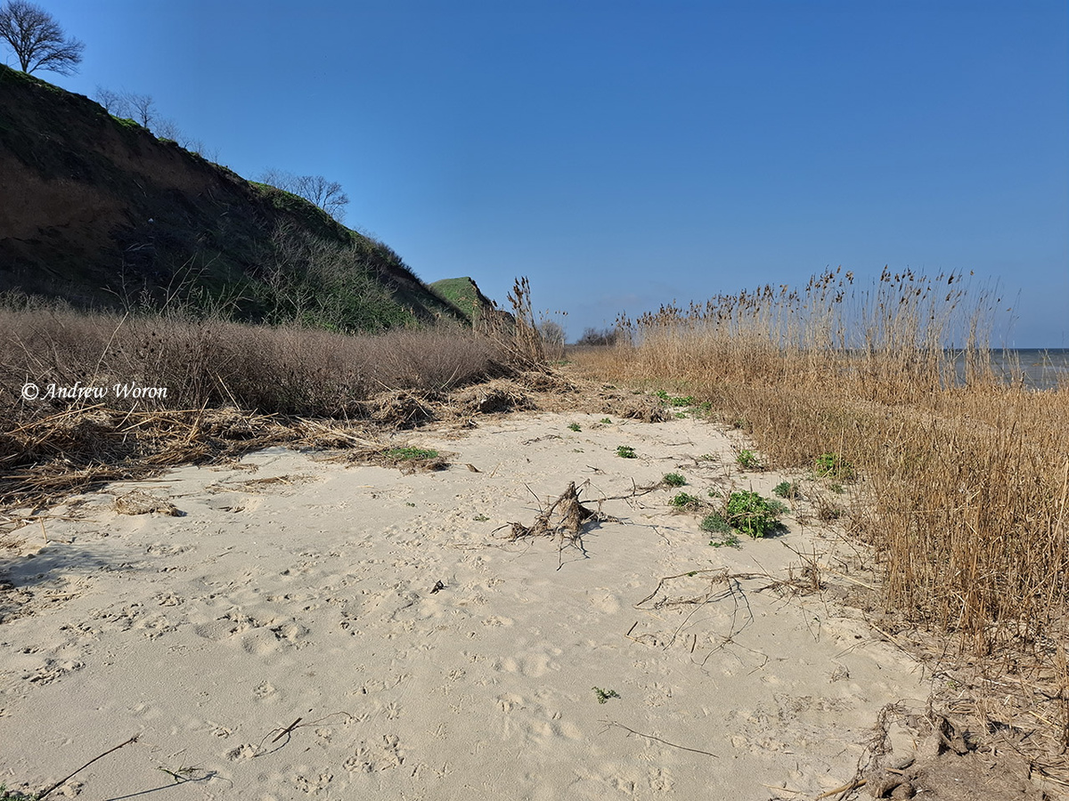 Открытый участок песчаного пляжа