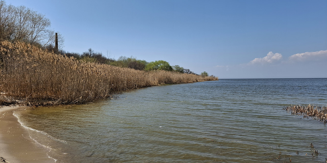 Четвертый поисковый рейд 2026 г. Село Стефанидинодар