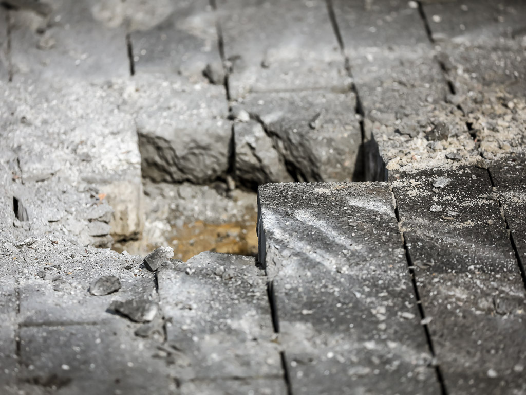     Фото: Павел Колядин (архив)