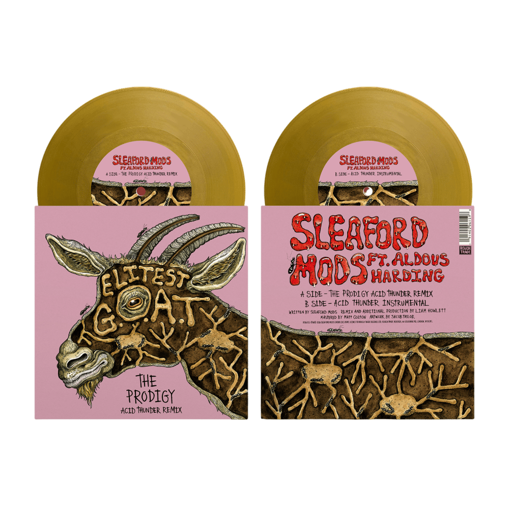 Так выглядит винил, который будет доступен с 26 июня 2026 года. А пока предзаказы. Ссылки у меня в ТГ, будет в конце поста. 