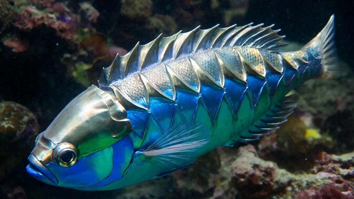    Изображение создано при помощи ИИ.