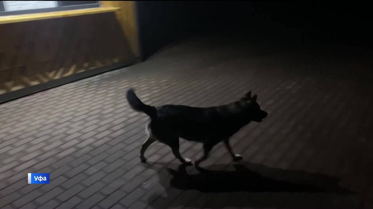    Уфимцы пожаловались на отсутствие освещения в парке Гафури