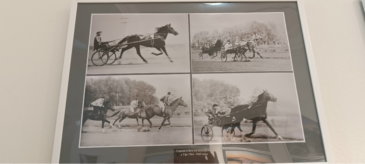 Листайте вправо, чтобы увидеть больше изображений