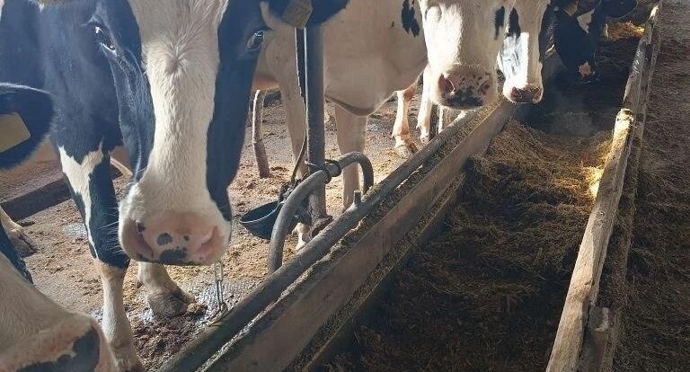    Министерство сельского хозяйства и продовольствия Московской области