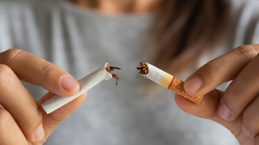    Фото: legion-media/Siam Pukkato; 5-tv.ru